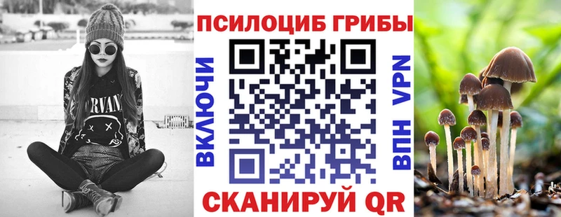 гидра ТОР  Полысаево  Галлюциногенные грибы мухоморы 