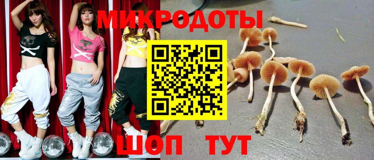 Галлюциногенные грибы ЛСД Полысаево