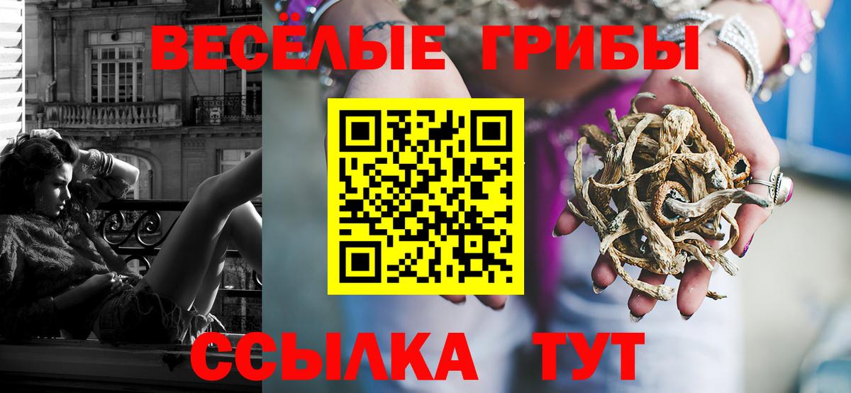 Галлюциногенные грибы мухоморы  Вход с VPN  наркота  Полысаево  Псилоцибиновые грибы Psilocybine cubensis 
